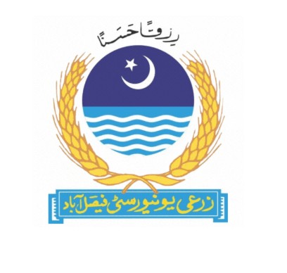 University of Agriculture Faisalabad Visiting Faculty Jobs 2025